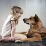 Communication animale & Soins aux animaux