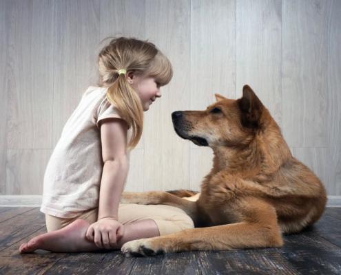 Communication animale & Soins aux animaux