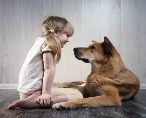 Communication animale & Soins aux animaux