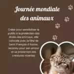 Journée mondiale des Animaux