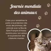 Journee_animaux_insta_01 Journée mondiale des Animaux