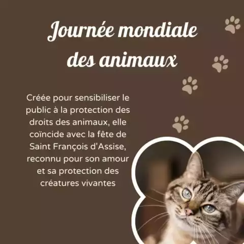 Journee_animaux_insta_01 Journée mondiale des Animaux