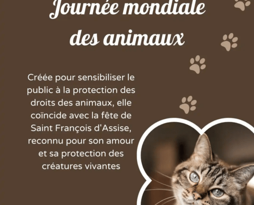 Journée mondiale des Animaux