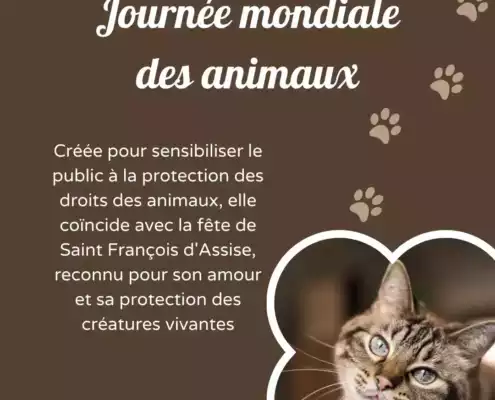 Journée mondiale des Animaux