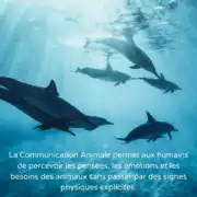 Journee_animaux_insta_02 Journée mondiale des Animaux
