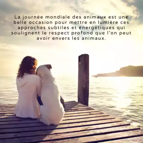 Journee_animaux_insta_04 Journée mondiale des Animaux