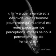 Journee_animaux_insta_05 Journée mondiale des Animaux