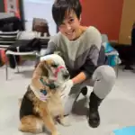 Premiers secours canin et félin