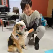 Premiers secours canin et félin