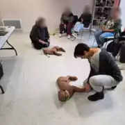 Premiers secours canin et félin