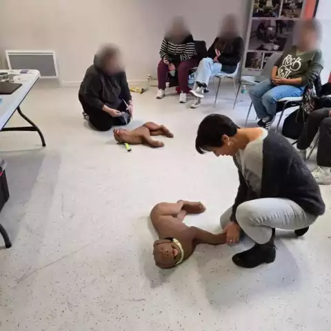 Premiers secours canin et félin