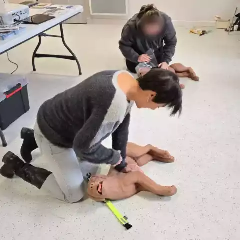 Premiers secours canin et félin