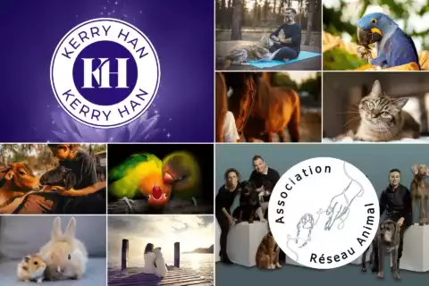 Nouveau partenariat avec l'association Réseau Animal