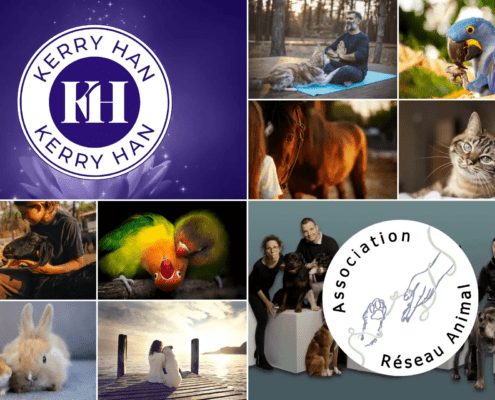 Nouveau partenariat avec l'association Réseau Animal