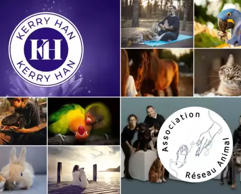 Nouveau partenariat avec l'association Réseau Animal