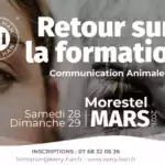Retour sur la formation Communication Animale