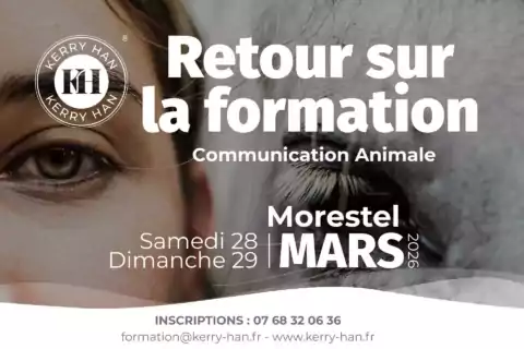 Formation_Com_A Retour sur la formation Communication Animale