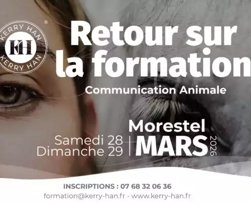 Retour sur la formation Communication Animale