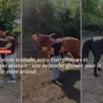 Savoir Animal Magasine séance de sonothérapie animale aux bols tibétains pour chevaux