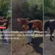 Savoir Animal Magasine séance de sonothérapie animale aux bols tibétains pour chevaux