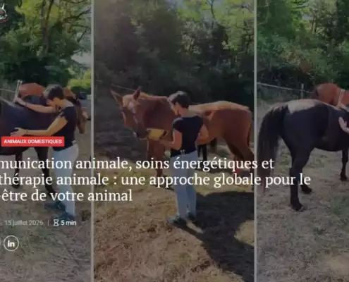 Savoir Animal Magasine séance de sonothérapie animale aux bols tibétains pour chevaux