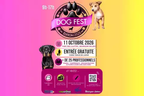 Dogfest2026 Dog Fest 2026