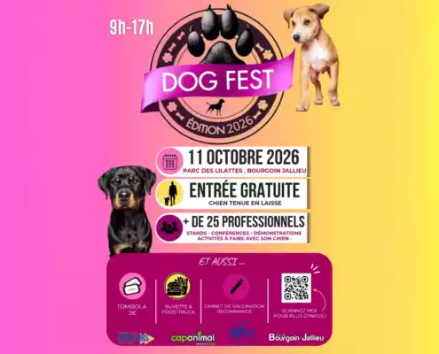 Dog Fest 2026