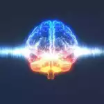 40 Hz : ce que la recherche du MIT nous apprend sur le son et le cerveau
