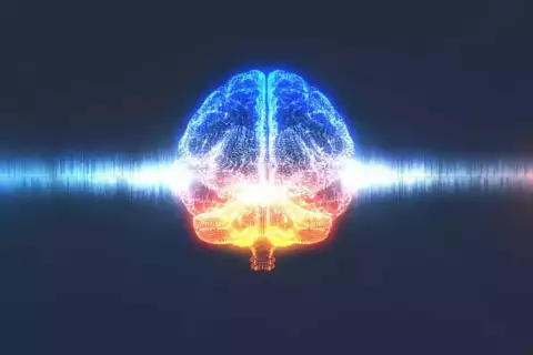 Etude_MIT_40Hz 40 Hz : ce que la recherche du MIT nous apprend sur le son et le cerveau