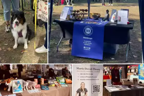 Retour sur le Dogfest 2026