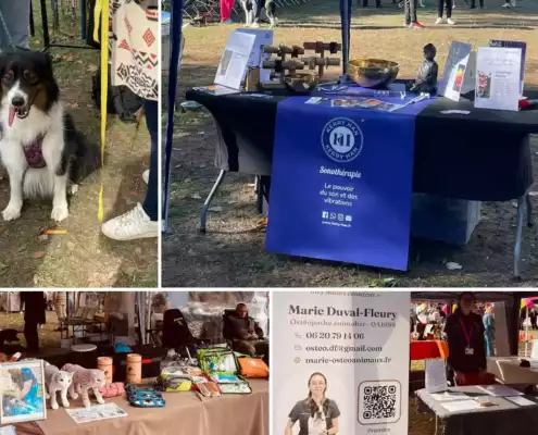 Retour sur le Dogfest 2026